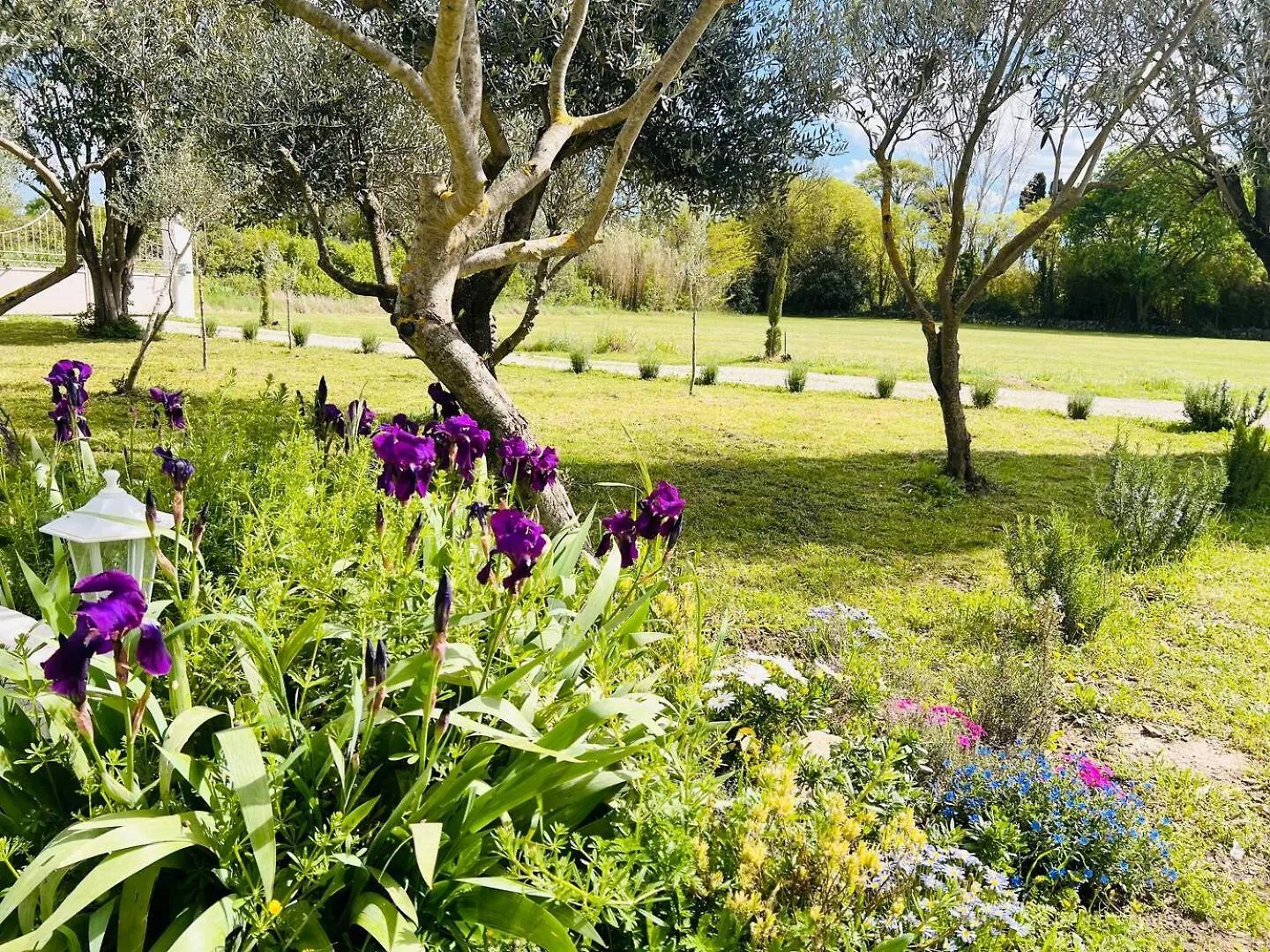 Camping Cabane La Clef Des Champs Au Mas Des Entrages Salon-de-Provence
